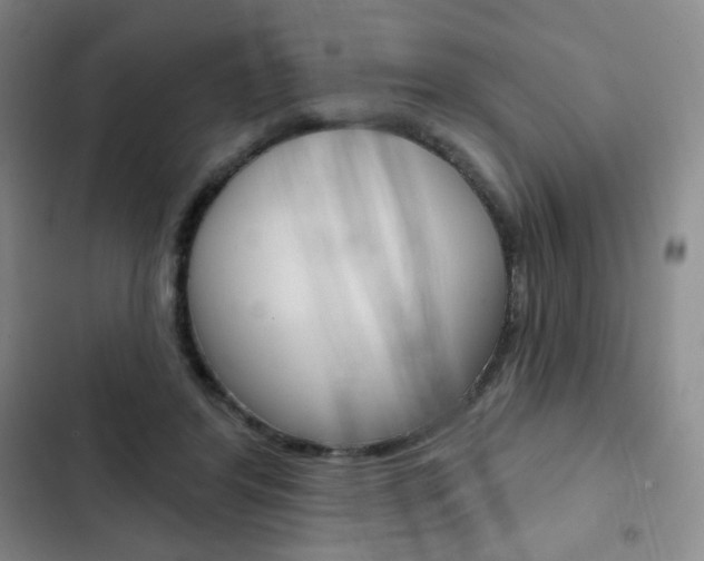 X0000103150404200808221133