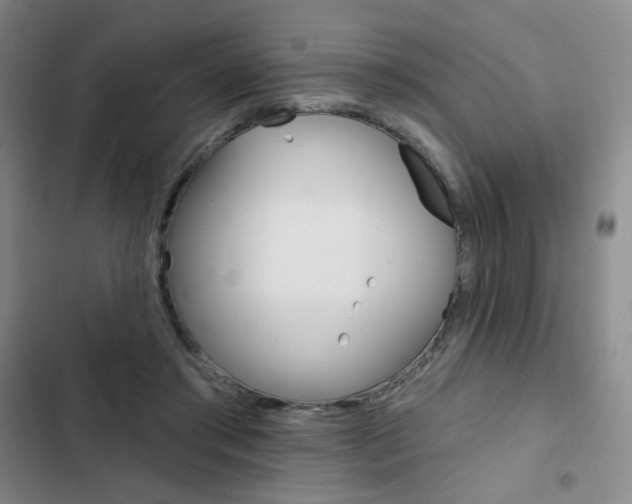 X0000103150405200808221133