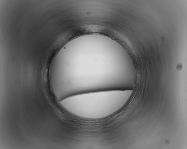 X0000103150406200808221133