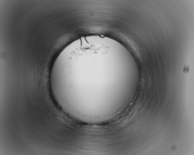 X0000103150407200808221133