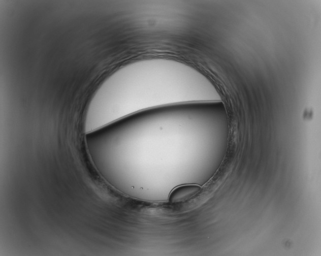 X0000103150408200808221133