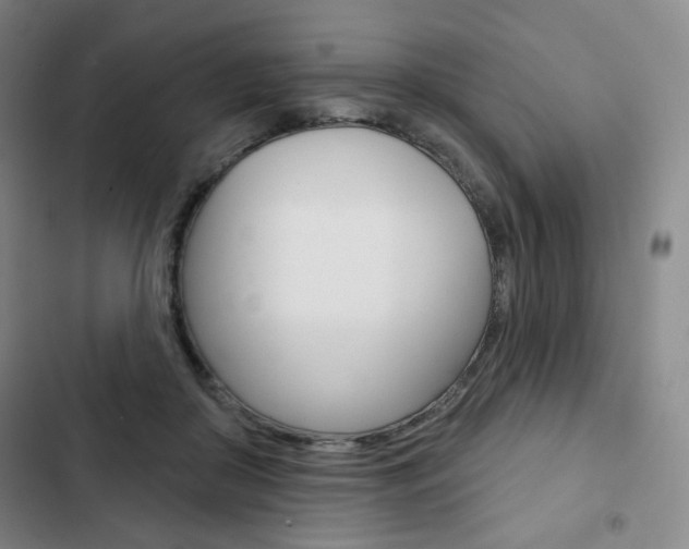 X0000103150410200808221133