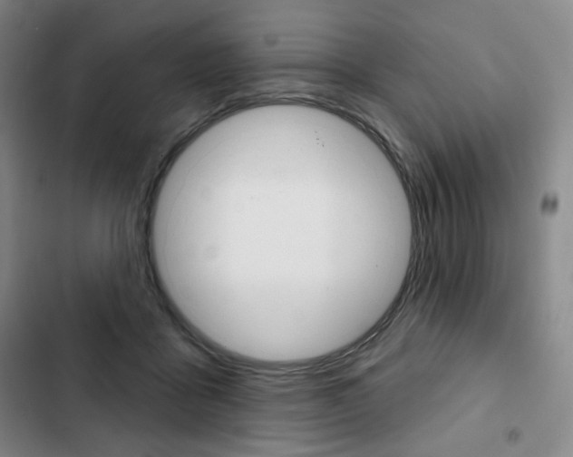 X0000103150411200808221133