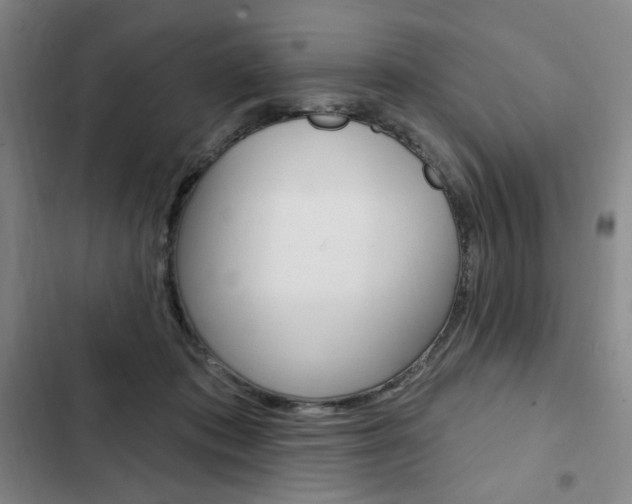 X0000103150413200808221133