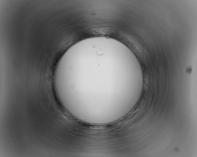 X0000103150414200808221133