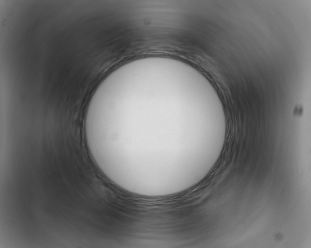 X0000103150415200808221133