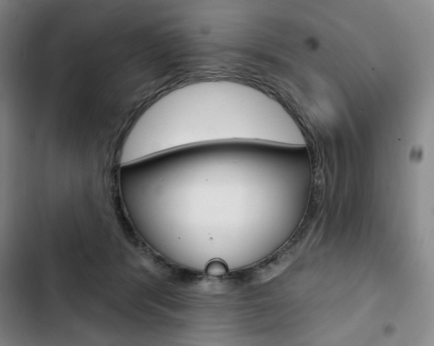 X0000103150416200808221133