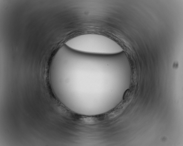 X0000103150417200808221133