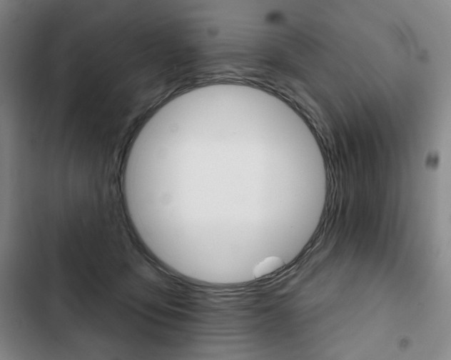 X0000103150419200808221133