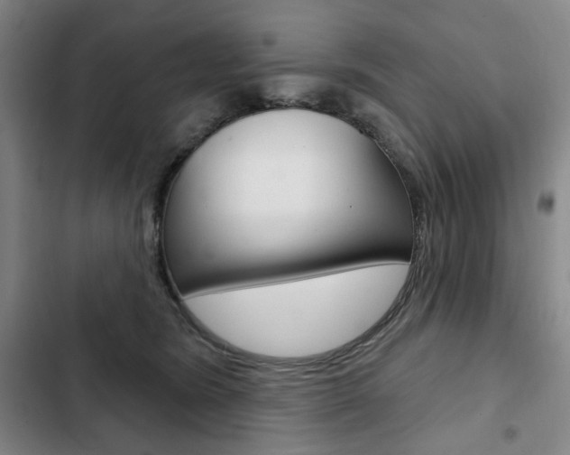 X0000103150420200808221133