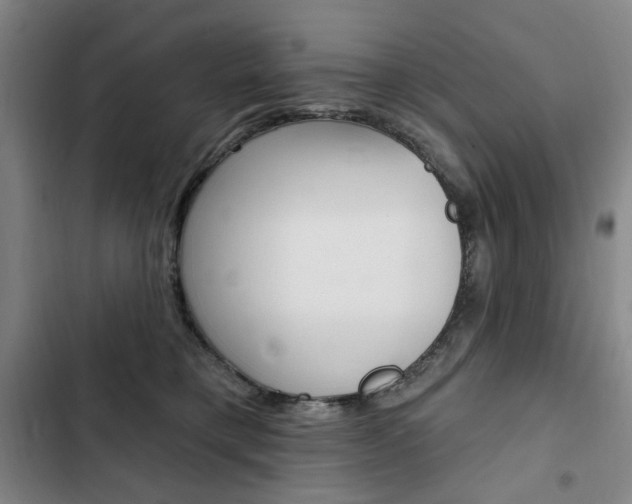 X0000103150421200808221133