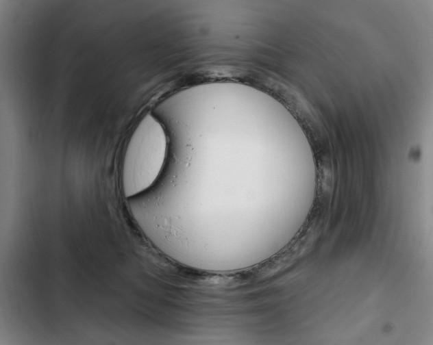 X0000103150422200808221133
