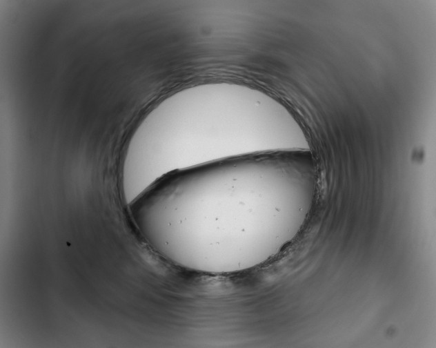 X0000103150424200808221133