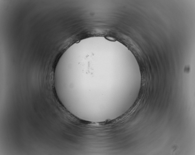 X0000103150425200808221133
