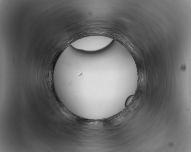 X0000103150426200808221133