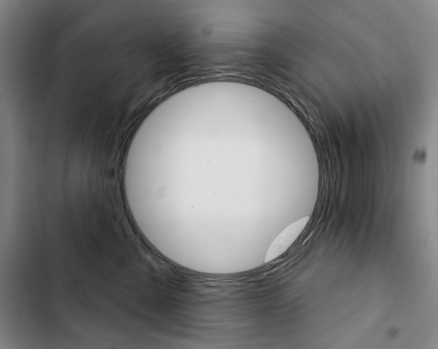 X0000103150427200808221133