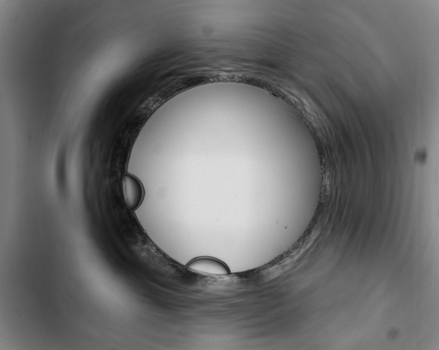 X0000103150429200808221133