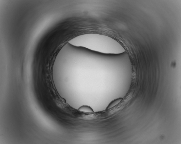 X0000103150430200808221133