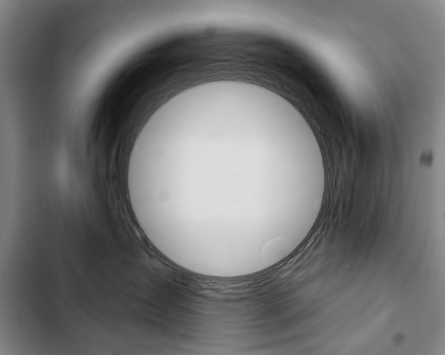 X0000103150431200808221133