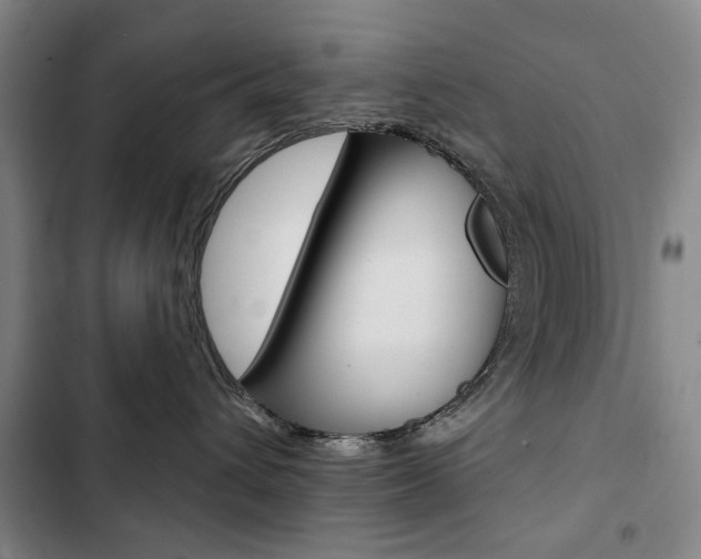 X0000103150432200808221133