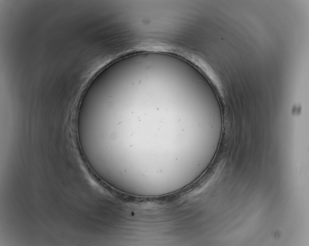 X0000103150433200808221132