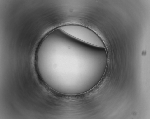 X0000103150434200808221132
