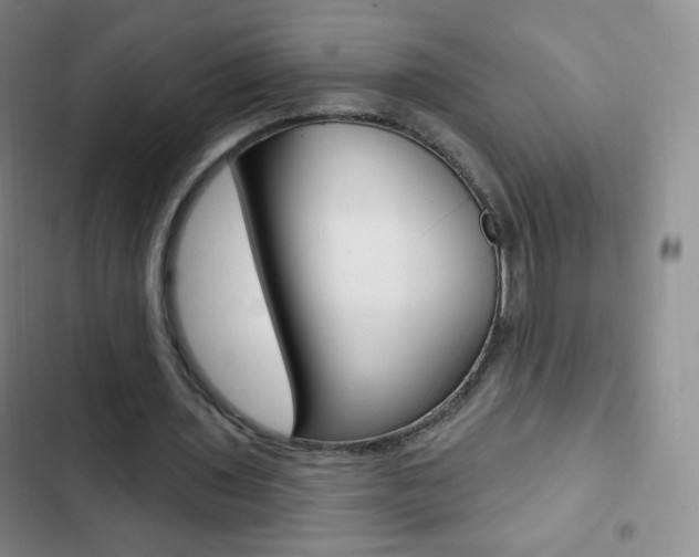 X0000103150435200808221132