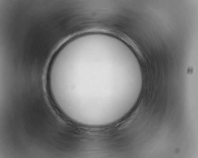 X0000103150436200808221132