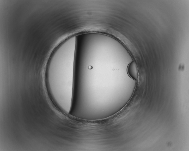 X0000103150438200808221132