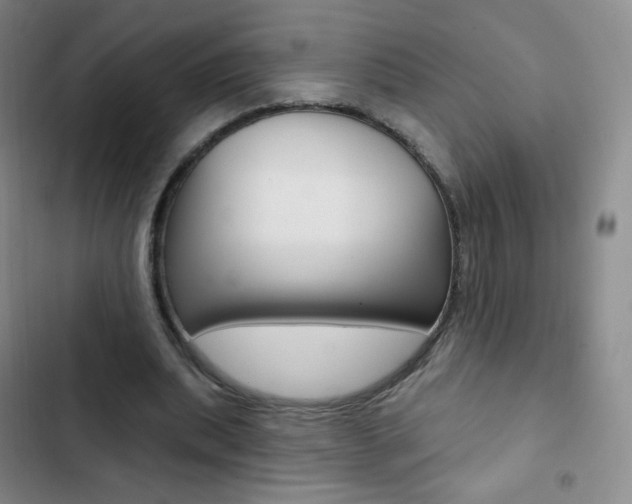 X0000103150439200808221132