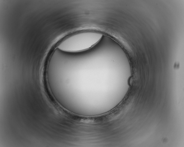 X0000103150440200808221132