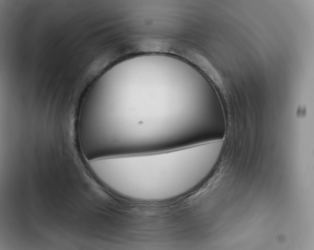 X0000103150441200808221132