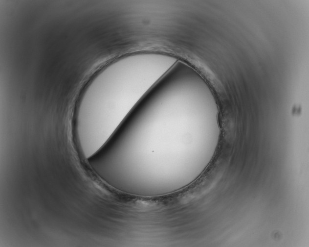 X0000103150442200808221132