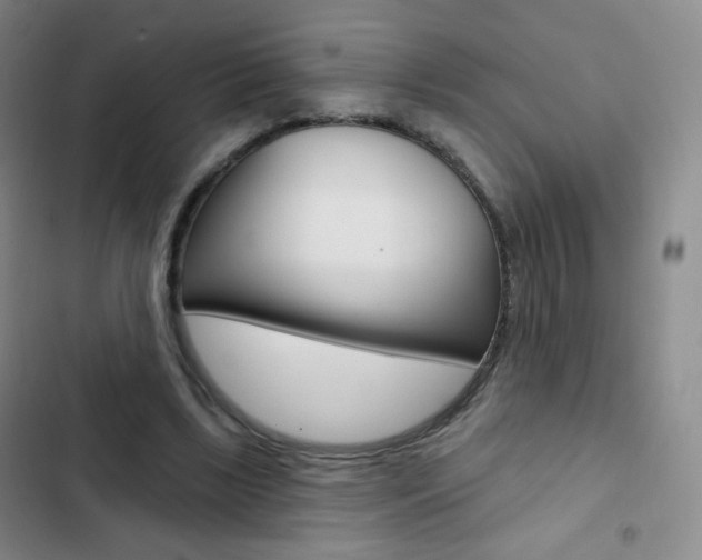 X0000103150443200808221132