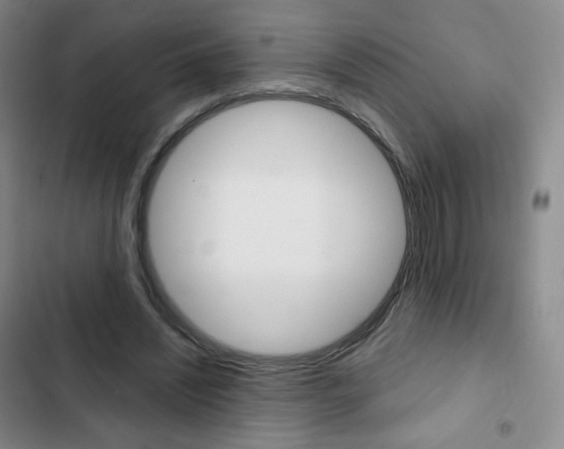 X0000103150444200808221132