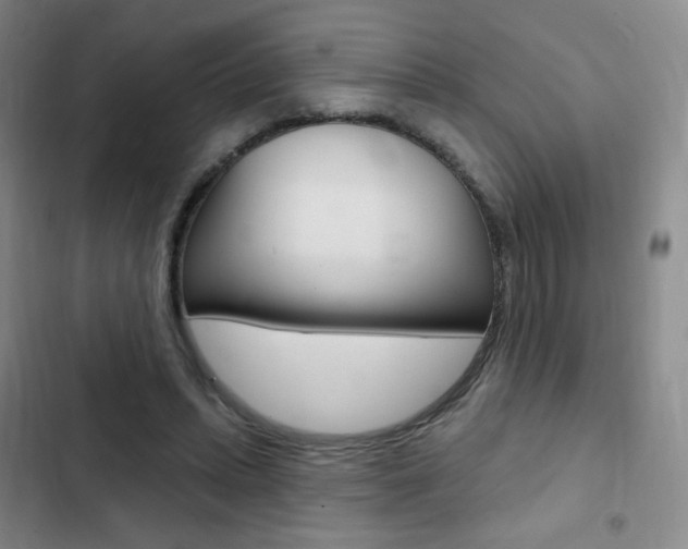 X0000103150447200808221132