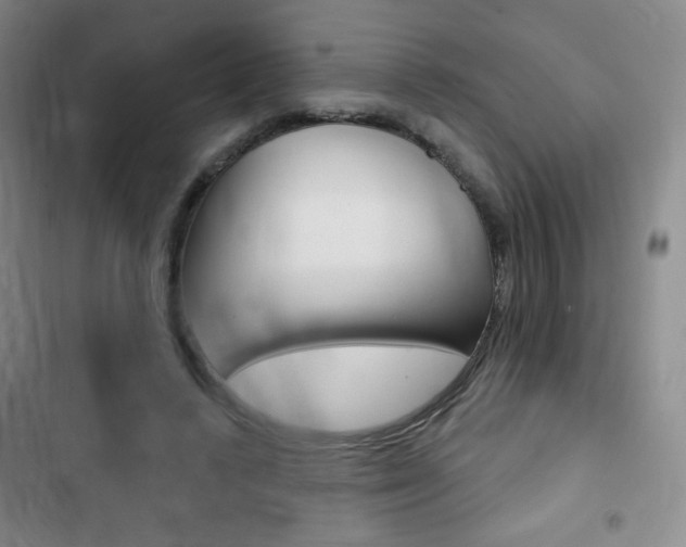 X0000103150448200808221132