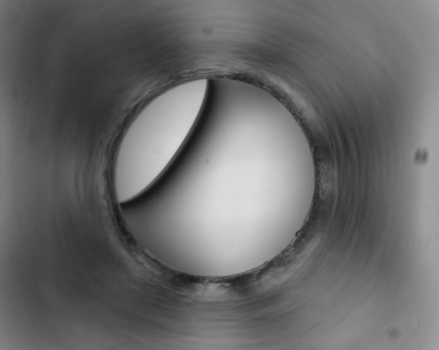 X0000103150451200808221132