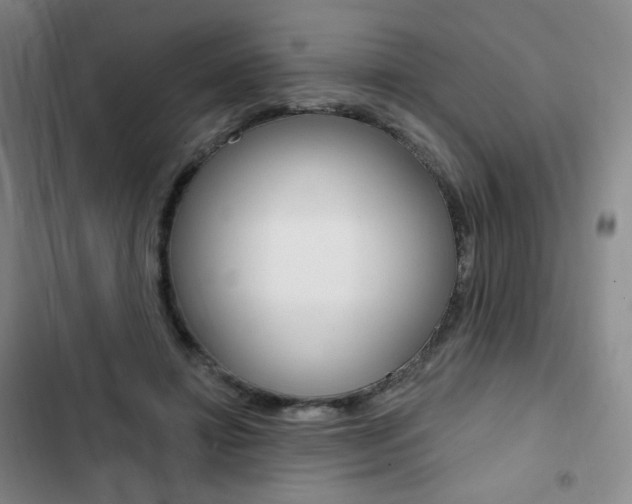 X0000103150452200808221132