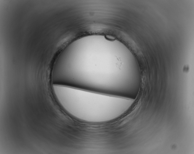 X0000103150454200808221132