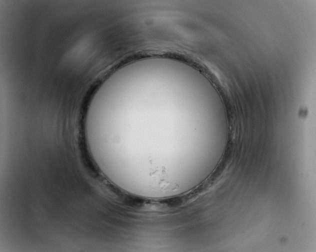 X0000103150455200808221132