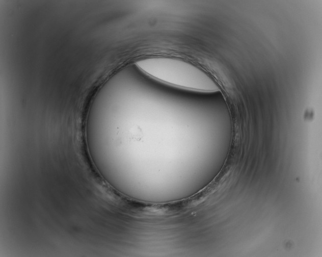 X0000103150457200808221132