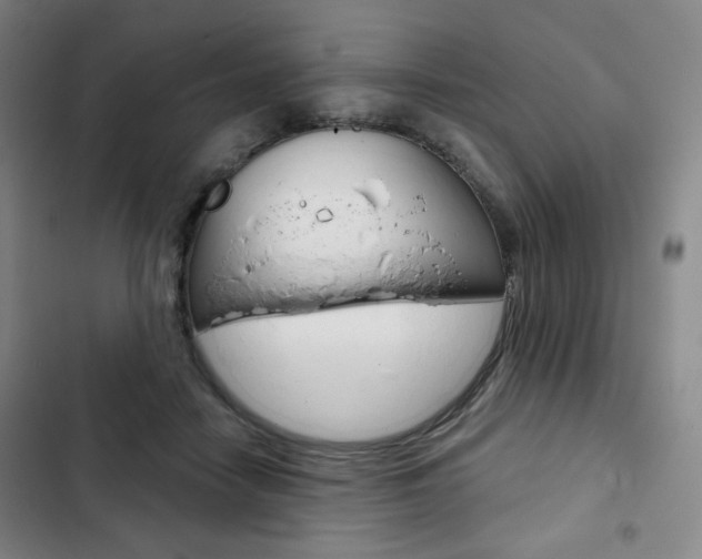 X0000103150458200808221132