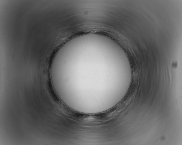 X0000103150460200808221132