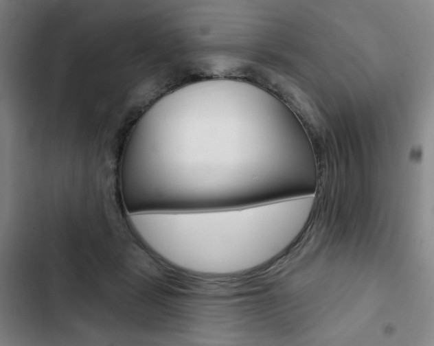 X0000103150461200808221132