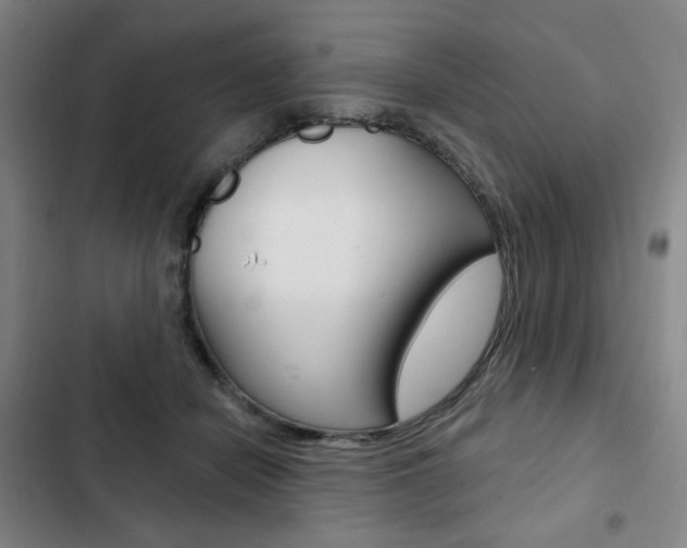 X0000103150462200808221132