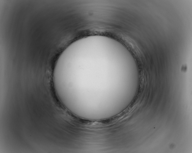 X0000103150463200808221132