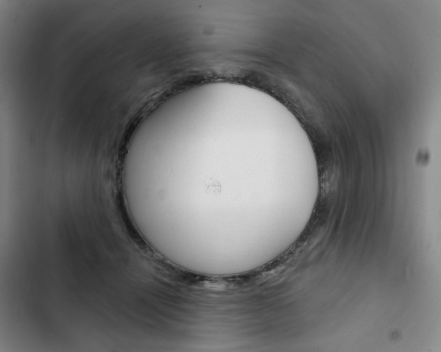 X0000103150464200808221132