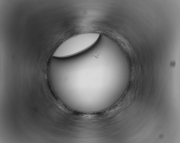 X0000103150465200808221132