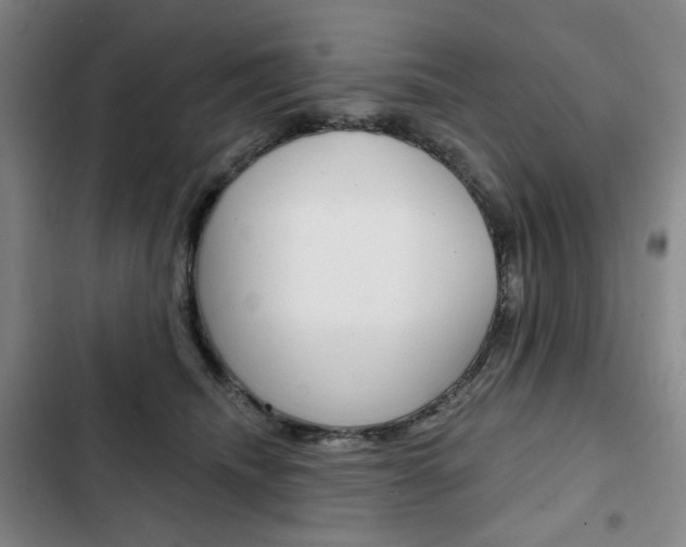 X0000103150468200808221132